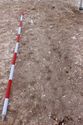 Thumbnail of Photo 3061 S facing pre-excavation shot of grave [605026] no board.