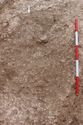 Thumbnail of Photo 3065 S facing pre-excavation working shot of grave cut [605033] no board.