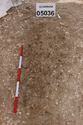 Thumbnail of Photo 3066 S facing pre-excavation shot of grave [605036].