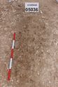 Thumbnail of Photo 3067 S pre-excavation shot of grave [605036].