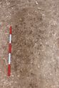 Thumbnail of Photo 3068 S facing pre-excavation shot of grave [605036] no board.