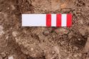 Thumbnail of Photo 3076 S facing bead in situ of burial <366> no board, no arrow.