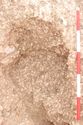Thumbnail of Photo 3083 S facing post-excavation shot of grave cut [605044] no board.