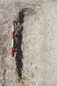 Thumbnail of Photo 3089 SW facing post-excavation shot of grave cut [605036] no board.