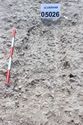 Thumbnail of Photo 3095 SW facing post-excavation shot of grave cut [605026].