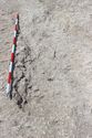 Thumbnail of Photo 3143 Post-ex shot of grave cut [605033] no board.