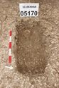 Thumbnail of Photo 3158 W facing skeleton (605172) in grave [605170].