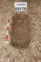Thumbnail of Photo 3161 W facing skeleton (605170) in grave [605170].