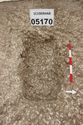 Thumbnail of Photo 3184 W facing post-excavation of grave [605170].