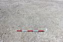 Thumbnail of Photo 3324 Pre-ex of two intercutting graves [605272] and [605276] no board.