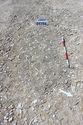 Thumbnail of Photo 3395 Grave pre ex 605394