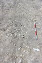 Thumbnail of Photo 3402 Grave pre ex 605401 no board