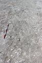 Thumbnail of Photo 3665 Grave pre ex 605403 no board