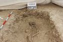 Thumbnail of Photo 3933 Working shot Skeleton 605720