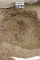 Thumbnail of Photo 3934 Working shot Skeleton 605720