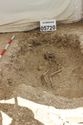 Thumbnail of Photo 3935 Working shot Skeleton 605720