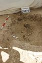 Thumbnail of Photo 3937 Working shot Skeleton 605720