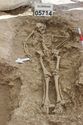 Thumbnail of Photo 3940 Working shot Skeleton 605714