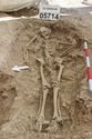Thumbnail of Photo 3941 Working shot Skeleton 605714
