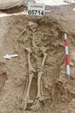 Thumbnail of Photo 3942 Working shot Skeleton 605714