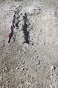 Thumbnail of Photo 3957 Grave post ex 606032 no board