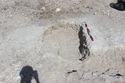 Thumbnail of Photo 4056 Grave 605719 post ex no board