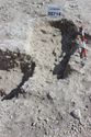Thumbnail of Photo 4057 Grave 605714 post ex