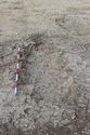 Thumbnail of Photo 4234 Grave 606256 post ex no board