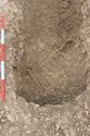 Thumbnail of Photo 4250 Working shots of grave 605734
