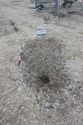 Thumbnail of Photo 4264 Cremation pre ex 605388