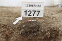 Thumbnail of Photo 4294 SF1277 cremation in grave 605388