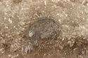 Thumbnail of Photo 4300 SF1277 cremation in grave 605388 plan no scale