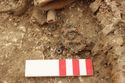 Thumbnail of Photo 4329 Detail of brooch SF1292 with bead cluster in grave 605734