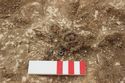 Thumbnail of Photo 4331 Detail of brooch SF1292 with bead cluster in grave 605734 after skull removed
