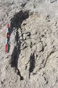 Thumbnail of Photo 4366 Grave post ex 605728 no board
