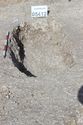 Thumbnail of Photo 4538 Post ex grave 605412