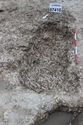 Thumbnail of Photo 4855 Grave post ex 607410