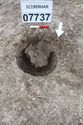 Thumbnail of Photo 4978 Working shots of posthole 607737