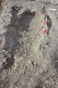 Thumbnail of Photo 5520 Grave post ex 605409 no board