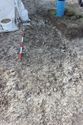 Thumbnail of Photo 5532 Grave pre ex 608329 no board