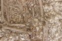 Thumbnail of Photo 5552 Grave 608361 insitu finds