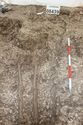 Thumbnail of Photo 5593 Skeleton 608440