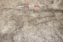 Thumbnail of Photo 5594 Skeleton 608440 no board