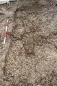 Thumbnail of Photo 5595 Skeleton 608440 oblique