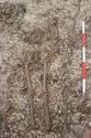 Thumbnail of Photo 5598 Skeleton 608440 Iron object