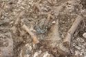 Thumbnail of Photo 5600 Skeleton 608440 SF1624 brooch
