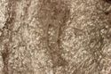 Thumbnail of Photo 5613 Skeleton 608443 lower body
