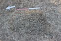 Thumbnail of Photo 5641 Grave post ex 608451 no board