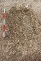 Thumbnail of Photo 5825 Grave 608590 post ex no board