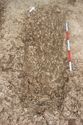 Thumbnail of Photo 5834 Grave post ex 608603 no board
